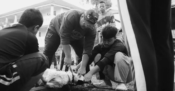 Semangat Berbagi di Hari Raya Qurban 1447 H.